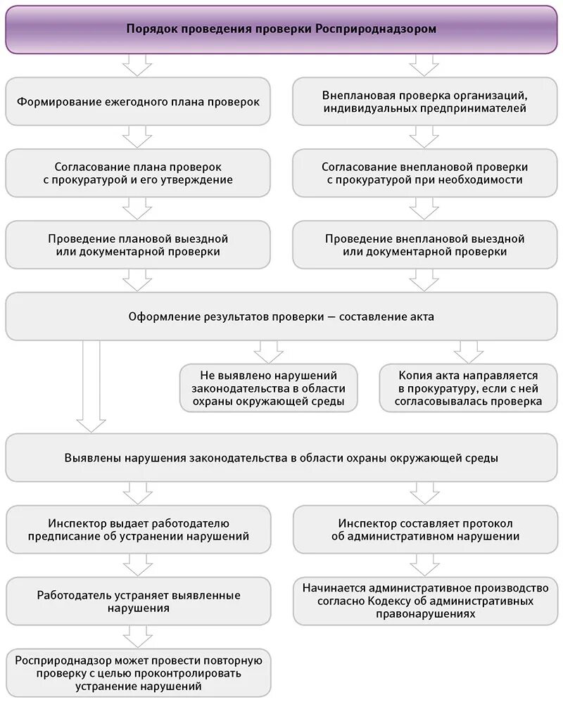 Результаты проведения плановых и внеплановых проверок. Порядок проведения проверок. Порядок проведения плановой проверки. Процедуры проведения проверки. Порядок организации и проведения плановой проверки.