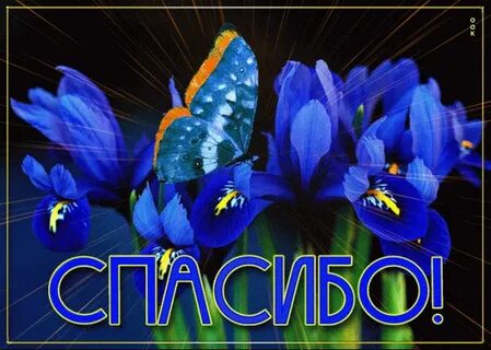 Спасибо сережа