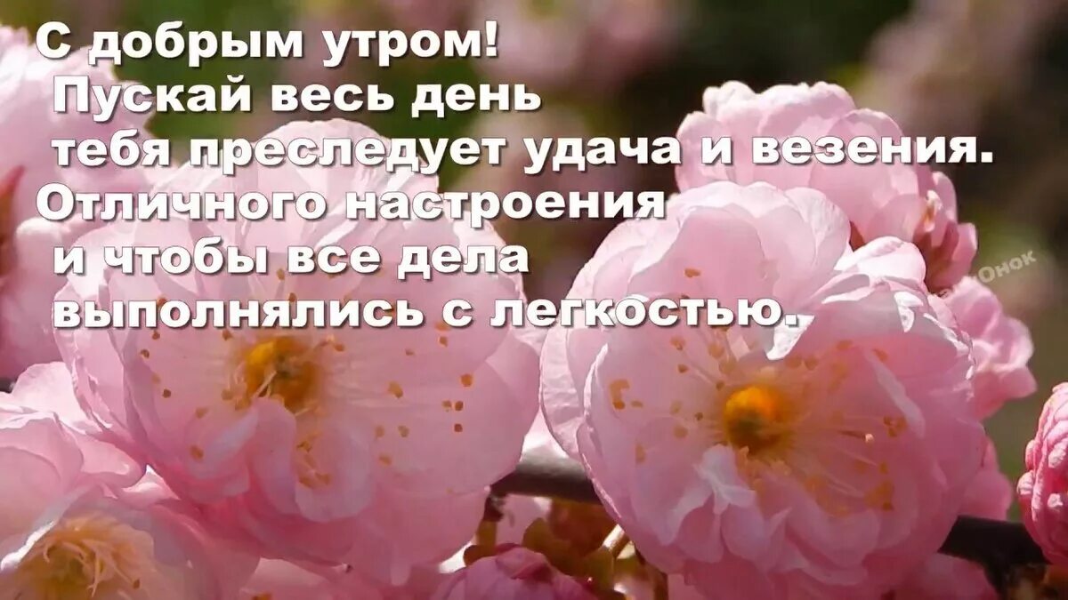 Пожелания с добрым весенним утром. Пожелание доброго весеннего утра. Пожелания с добрым утром и днем весенние.