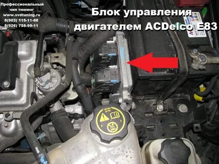 Шевроле кобальт где находится