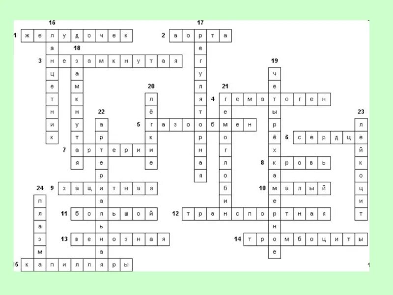 Кроссворд по биологии 7 класс 25 слов. Кровеносная система человека кроссворд с ответами. Кроссворд по биологии 8 класс на тему кровь. Кроссворд по биологии кровеносная система. Биология 6 класс кроссворд на тему фотосинтез