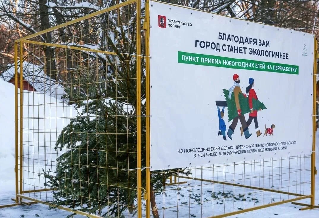 в рамках акции. пункт приема хвойных в москве 2023. мероприятия для молодежи против наркотиков. акция белая ленточка к дню инвалидов. в рамках акции.