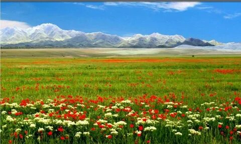 Олар фитнес-клубта қалай жүр