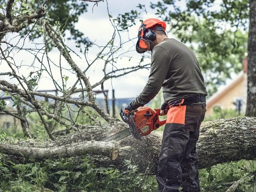 Бензопила husqvarna mark ii. Бензопила Husqvarna 135 Mark II. Бензопила Husqvarna 120 Mark. Бензопила Husqvarna 135 Mark II 16". Бензопила Husqvarna 120 Mark II.