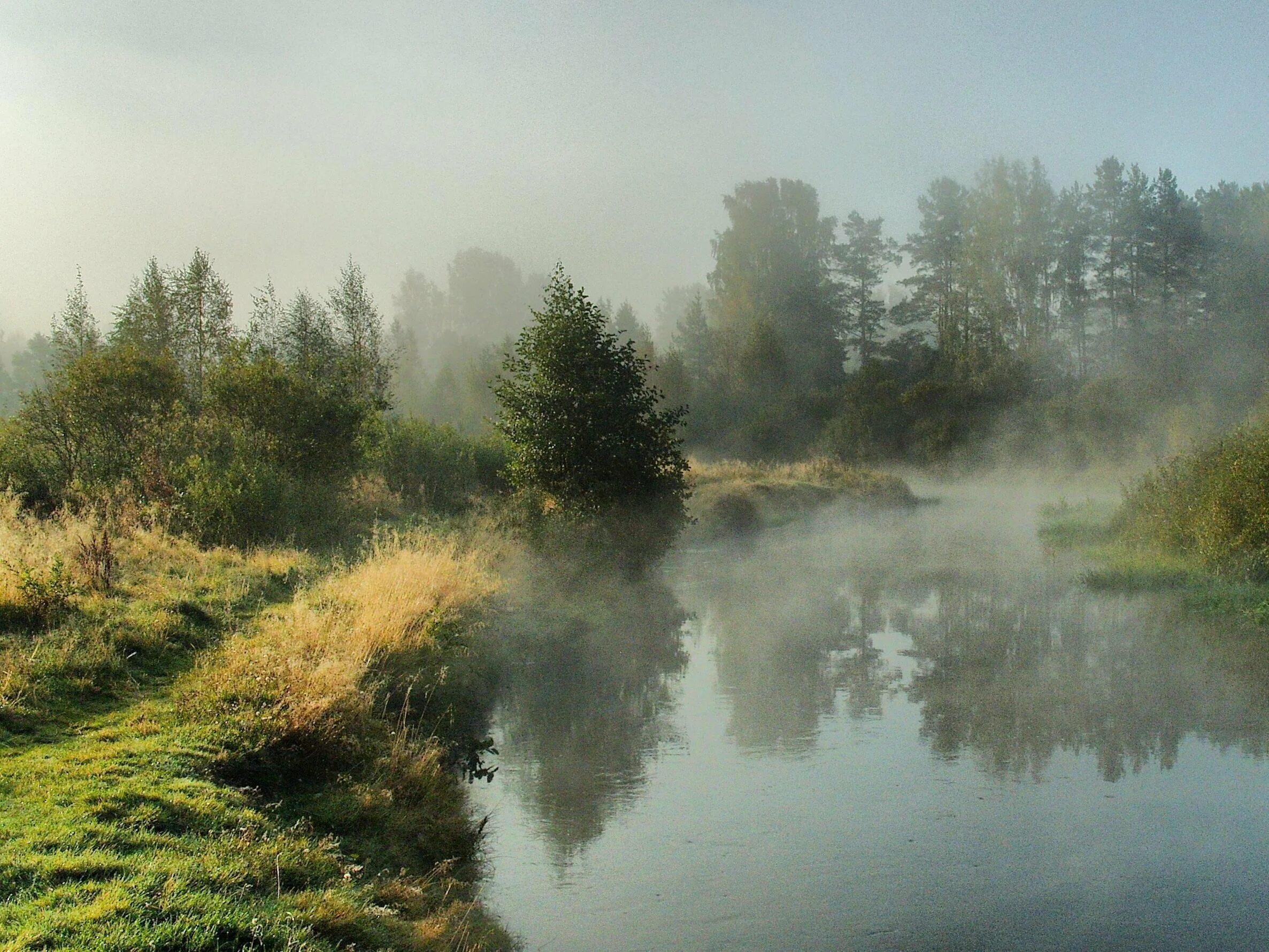 Низинах расстилается туман. Река туманная Приморский край. Туманное утро Кировская область. Утренний туман. Пейзаж туман.