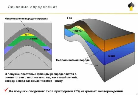 образование нефтяных и газовых месторождений
