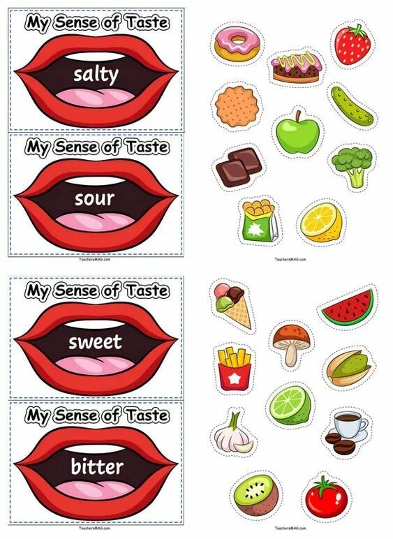 5 чувств иконка. Sense taste. Символы органов чувств для детей. Sense taste. Bitter taste.