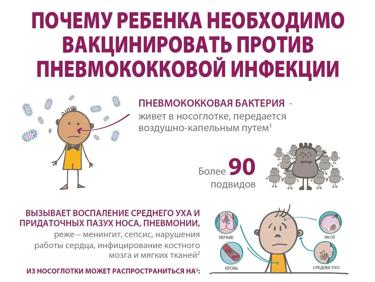 Прививки пневмококковой инфекции детям. Пневмококк прививка взрослым. Прививка от пневмококка ревакцинация. Температура после прививки пневмококк у ребенка. Пневмококк прививка график прививок.
