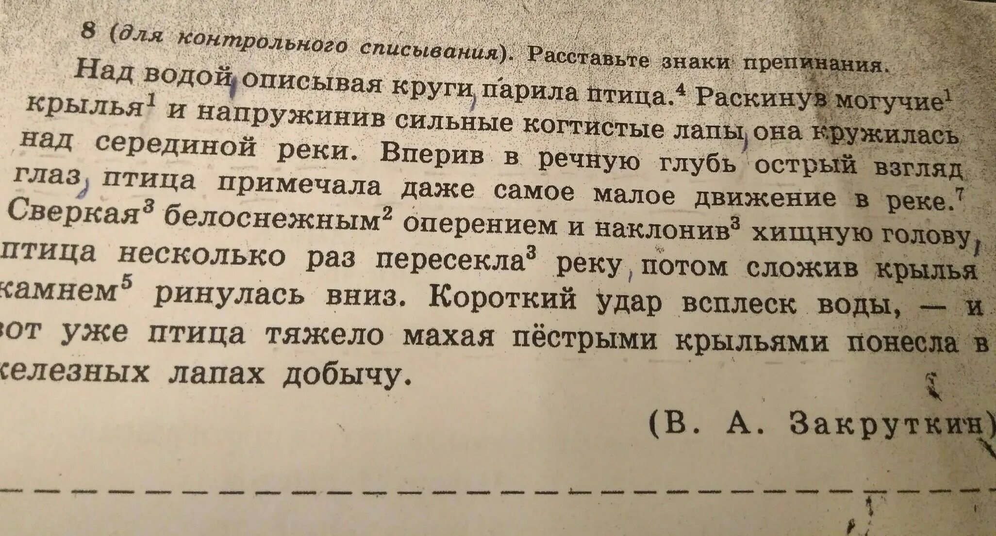 Письмо другу в глубь земли. Над водой описывая круги. Над водой описывая круги парила птица. Научная Экспедиция в глубь земли письмо.