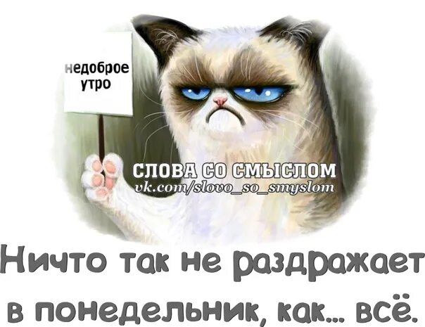 Злое утро. Недоброе утро. не доброе утро. доброе недоброе утро.