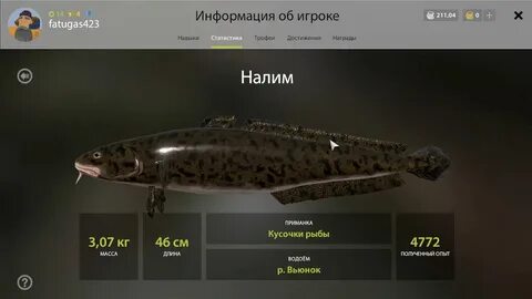 Точки рр4