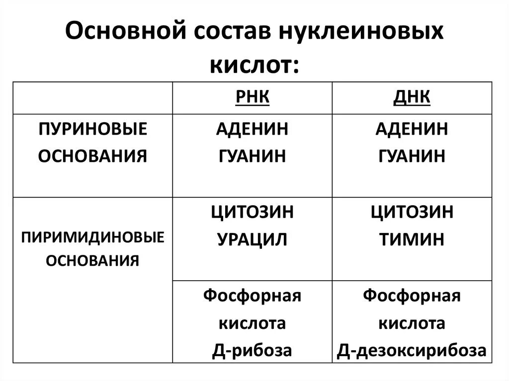 Элементы состава нуклеиновых кислот. Состав нуклеиновых кислот ДНК РНК. Входит в состав нуклеиновых кислот. Состав нуклеиновой кислоты ДНК. Состав нуклеиновыхткислот.