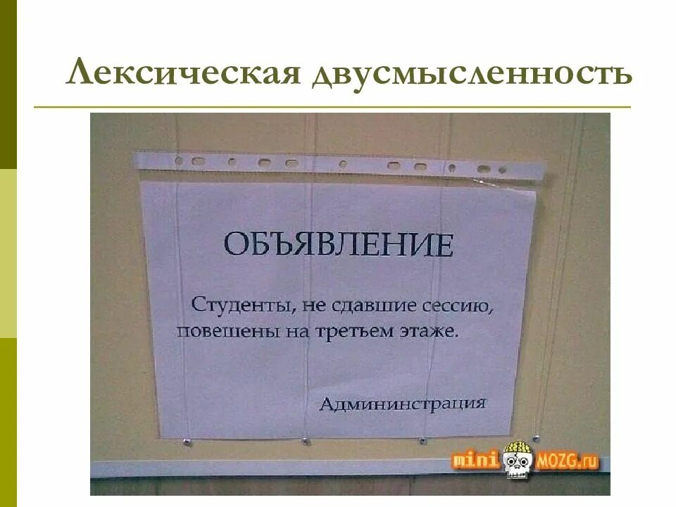 Употребление многозначных слов и омонимов. Понимание значение. Двусмысленность в тексте пример. Двусмысленность. Осмысление значение.