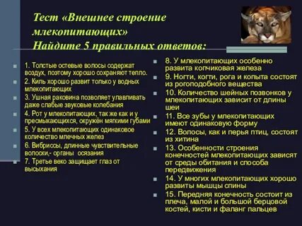 Особенности внешнего строения млекопитающих