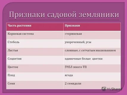 Признаки корня растения