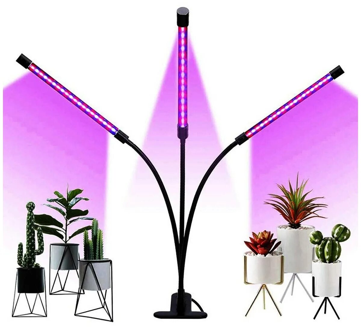 фитосветильник напольный для растений. светодиодный фитосветильник для теплиц ip65. фитосветильник напольный для растений. фитосветильник напольный для растений. микрозелень фитолампа.