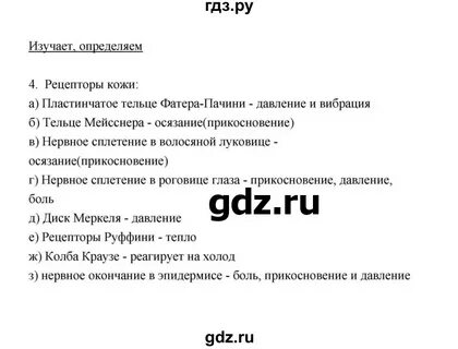 Биология 8 класс 5 параграф слушать