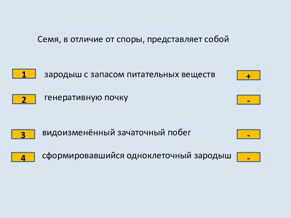 Семя в отличие от споры. Семя, в отличие от споры, представляет собой. Спора в отличие от семени представляет собой. Отличие споры от семени. Спора, в отличие от семени:.
