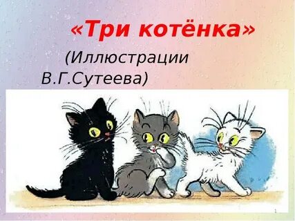 3 кота килограмм