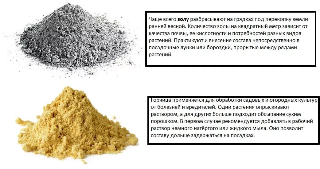 Какое количество золы. Зола в порошке. раствор золы. объем золы. народные средства зола.