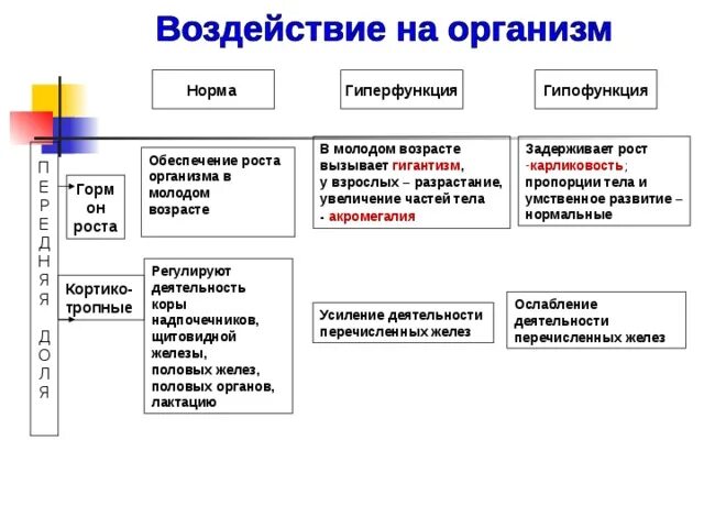 Гиперфункция яичников. Гипофункция и гиперфункция гормонов. гипофункция половых гормонов. гормоны яичников гиперфункция и гипофункция. гиперфункция женских половых желез.