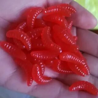 Приманки черви