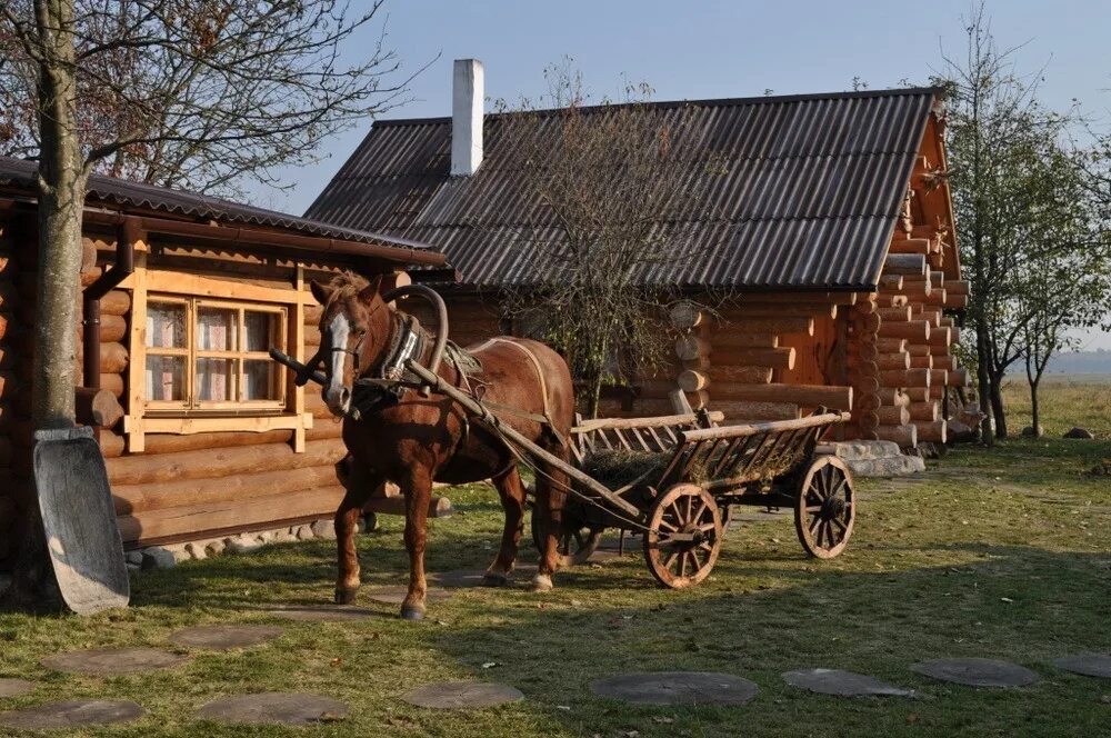 Телега деревенская. Телега в деревне. Телега с лошадью. Телега подвода. Хвост телега