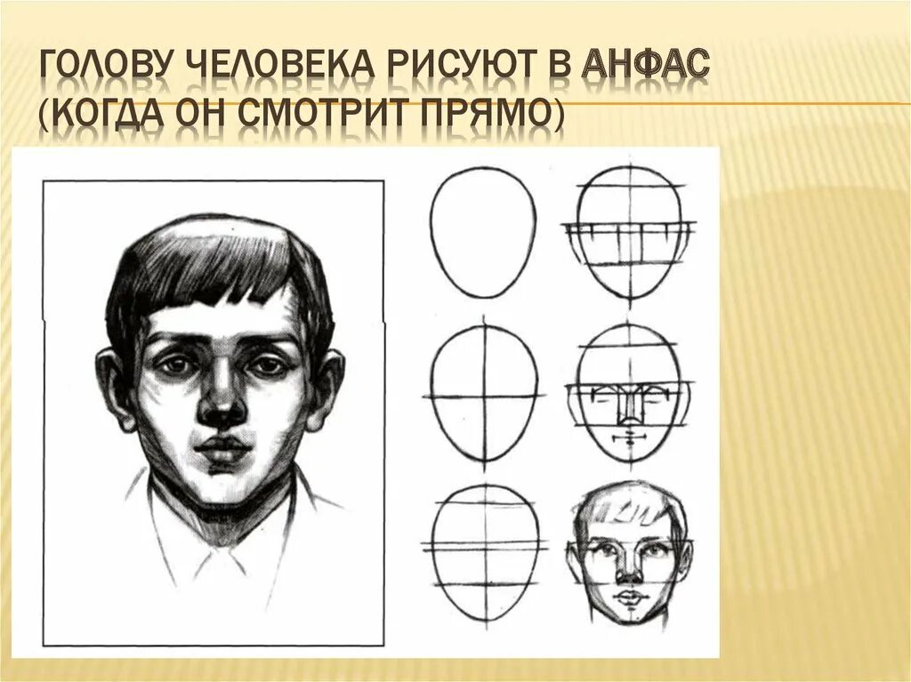 Пропорции лица человека схема. Построение портрета. Могилевцев схема головы. Создание портрета уроки. Создание портрета уроки.