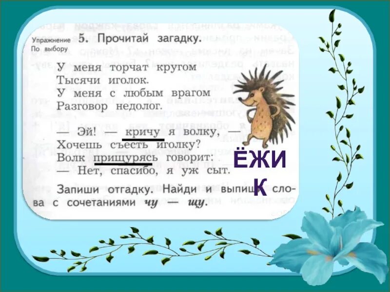 Прочитай загадки напиши отгадки. Прочитай загадку у меня торчат кругом тысячи иголок. Прочитай загадку. Читать читать загадки. Загадки кругом торчат иголки.