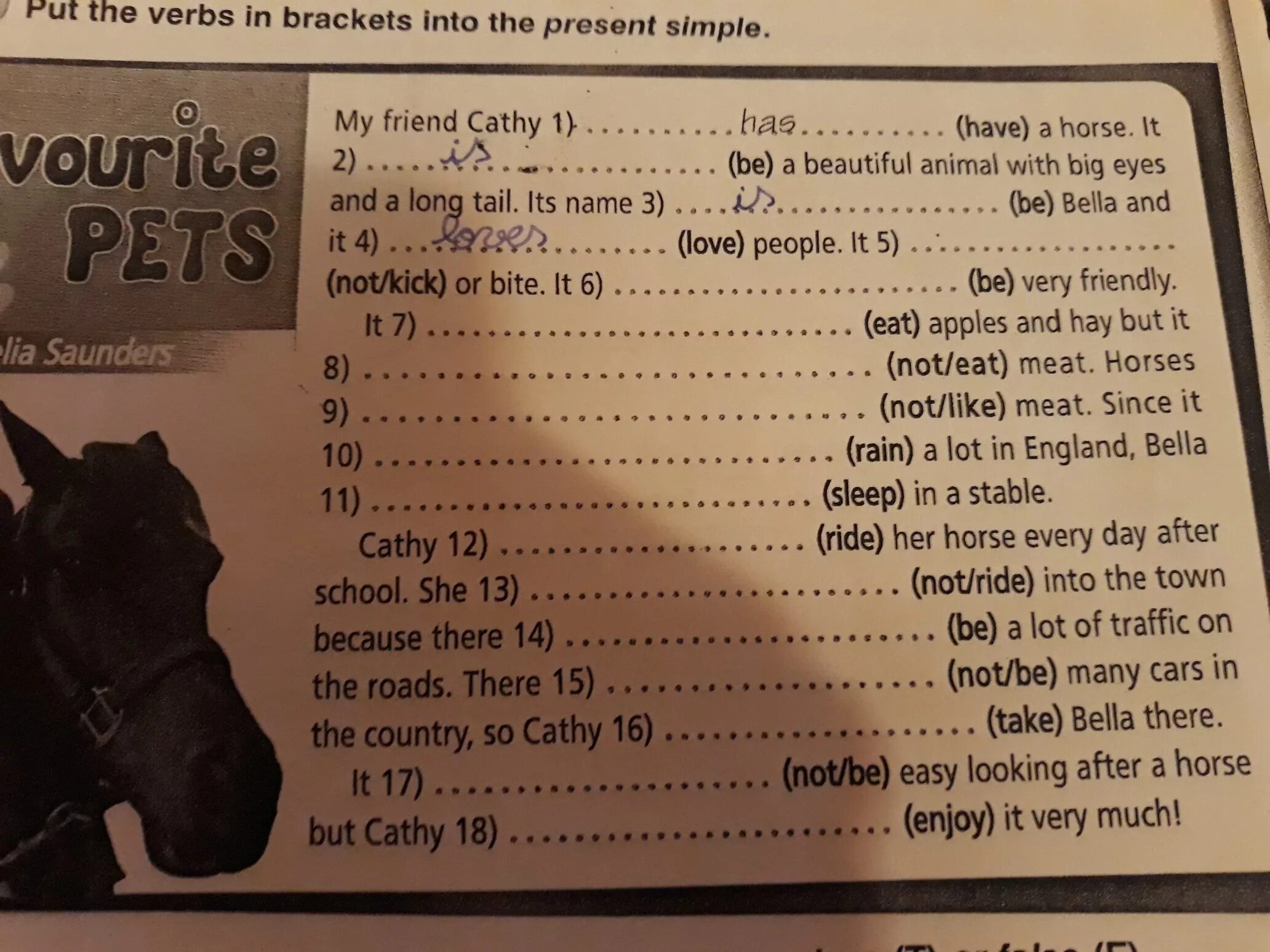 Put the verbs into the simple. Put the verbs in brackets into the present simple. put the verbs in brackets into the. put the verbs in brackets into the present. put the verbs in brackets into the present simple 5 класс.