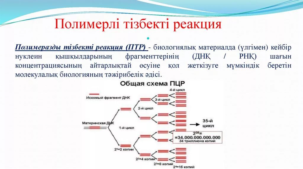 . Полимеразная цепная реакция (ПЦР). Этапы. ПЦР презентация. ПЦР схема. Полимеразная цепная реакция презентация. Алу реакциясы