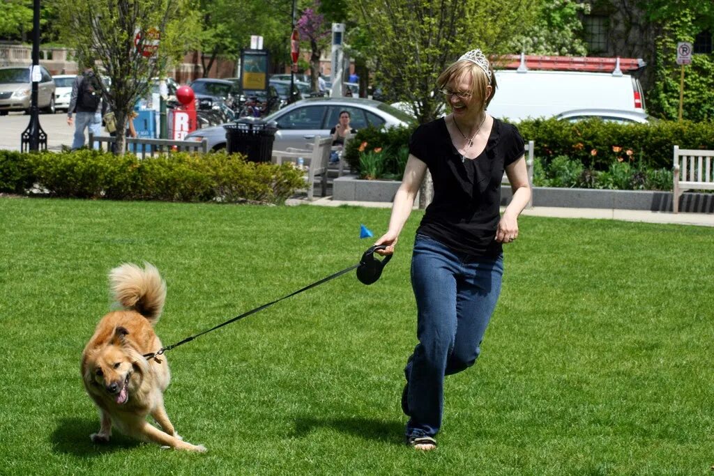 Dogs must keep on a lead. Поводок для собак. Щенок с поводком. Поводок Рулетка для собак. Большие собаки на поводке.