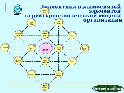 Взаимосвязь структур организма