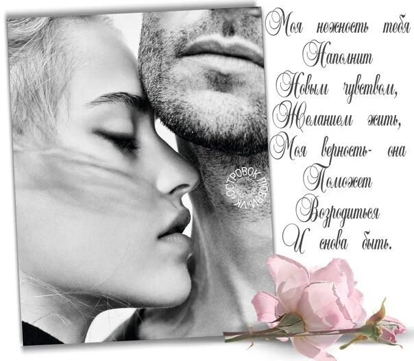 В чем моя нежность. Ты нежность. Моя нежность. Моя нежность для тебя. Моя нежность для тебя картинки.