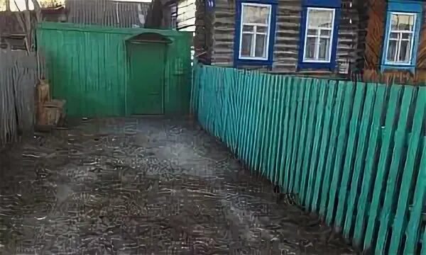 Доска объявлений инза. Инза китовка. китовка ульяновская область. азанка 1я заречная. николаева 66 инза.
