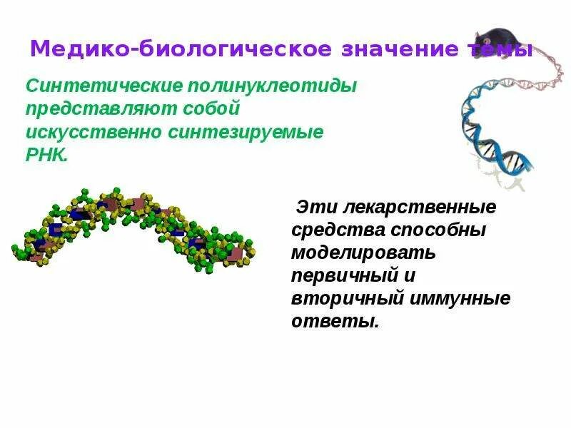 Биологическое значение нуклеиновых кислот. Медико биологическое значение адсорбции. медико-биологические. медико биологическое значение молочной кислоты. медико биологическое значение сорбции.