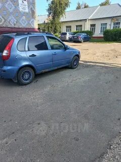 Калина универсал ростов