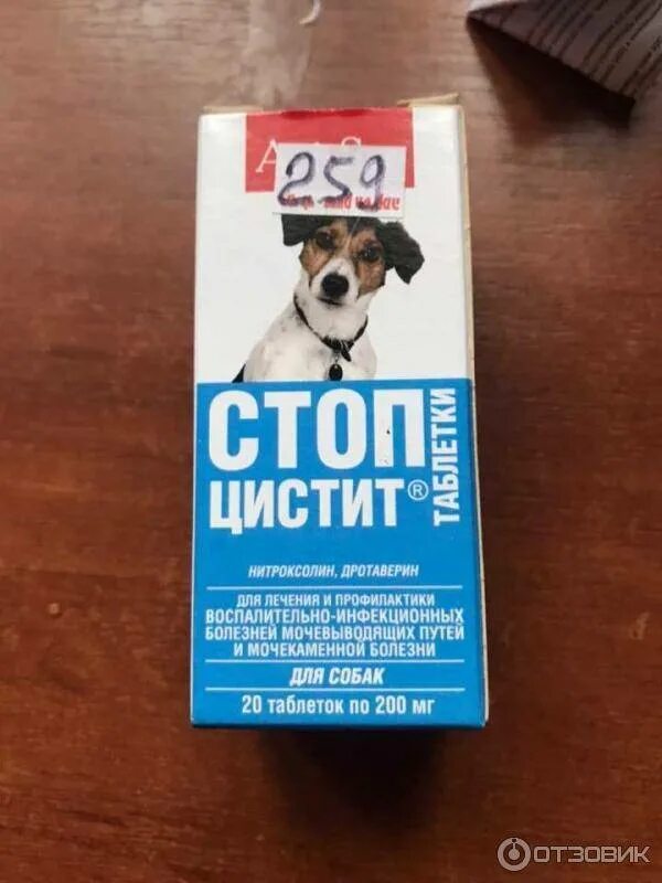 Стоп цистит для собак отзывы. Стоп цистит апи сан для собак. стоп-цистит для собак суспензия. стоп цистит с нитроксолином для собак. стоп цистит таблетки с дротаверином.