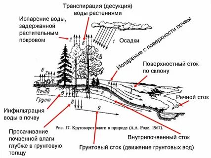 Поверхностный режим