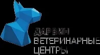 Дарвин ветклиника ульяновск верхняя