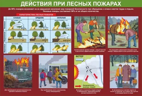 Лесные пожары безопасность