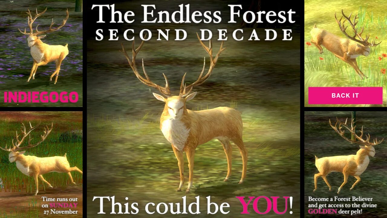 The endless Forest игра. Игра про оленей the endless Forest. The endless Forest на андроид. Бесконечный лес. Endless перевод на русский