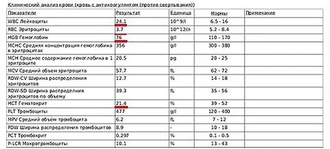 Повышенный белок у собак