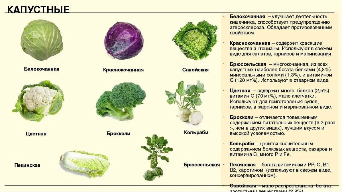 Можно ли есть капусту беременным
