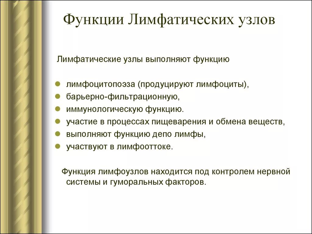 Какие функции лимфатических узлов. Лимфатически узлы функции. Главные функции лимфатических узлов. Лимфатический узелфукции. Какую функцию выполняют лимфатические узлы.