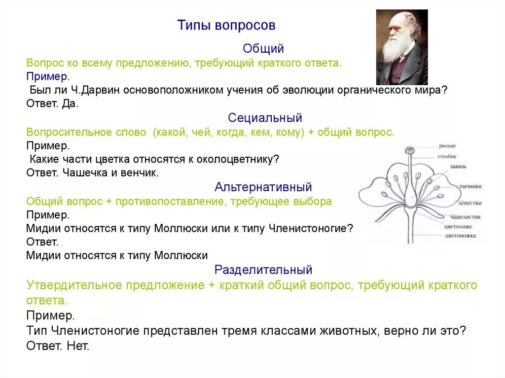 Краткий ответ по образцу. Задания открытого типа по биологии. Виды ответов с примерами. Вопросы, требующие краткого ответа - это. Задания открытой формы с кратким ответом по биологии.