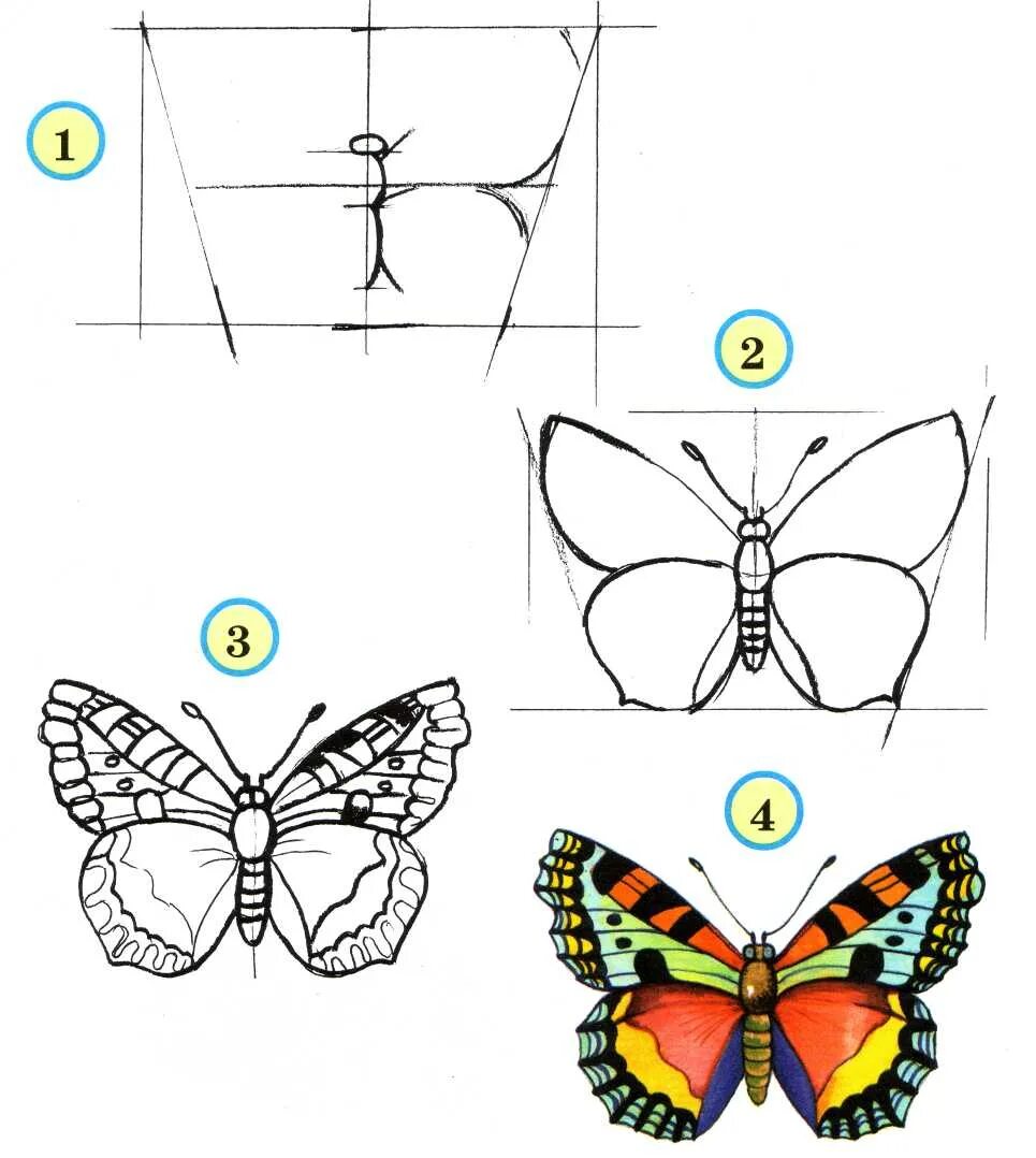 Бабочка рисунок карандашом. Поэтапное рисование бабочки. Нарисовать бабочку поэтапно. Красивая бабочка рисунок карандашом.