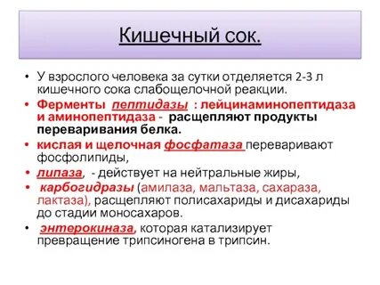 Какой сок в кишечнике