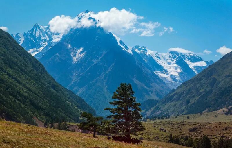 культура 5 гор