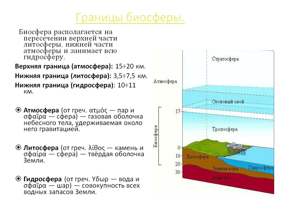 Слова на тему биосфера. Границы биосферы атмосфера гидросфера литосфера таблица. 5. Биосфера. Структура и границы биосферы.. Атмосфера гидросфера литосфера Биосфера таблица. Биосфера гидросфера атмосфера литосфера схема.